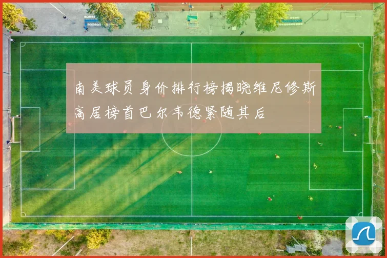 南美球员身价排行榜揭晓维尼修斯高居榜首巴尔韦德紧随其后