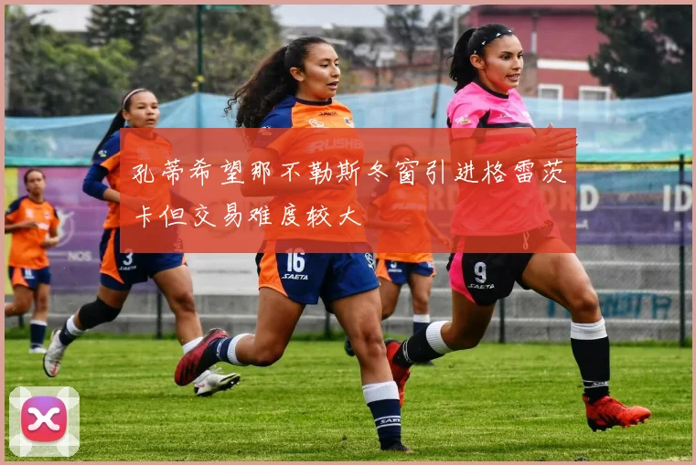 孔蒂希望那不勒斯冬窗引进格雷茨卡但交易难度较大