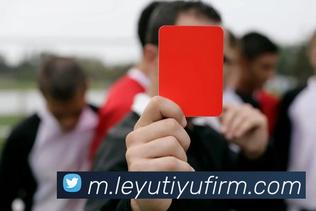 App Interface Preview