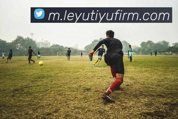 数据防护可视化